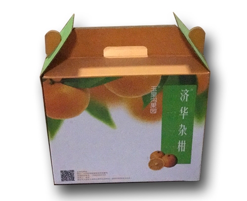 濟華水果包裝紙箱
